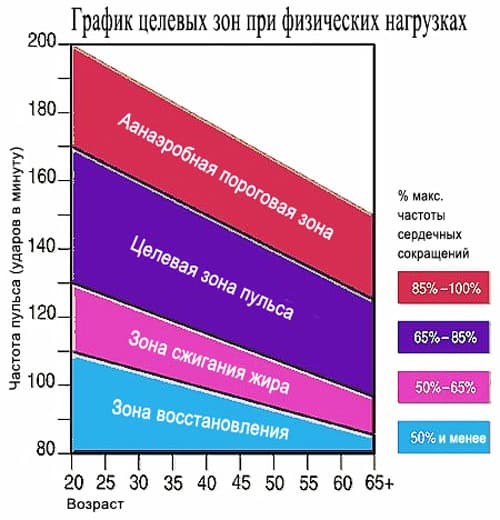 график пульсовых зон