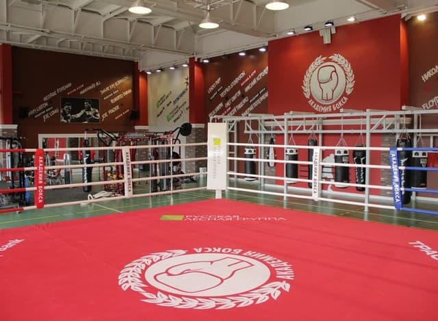 Академия бокса Лужники