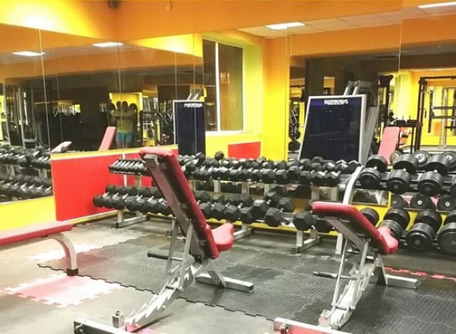 Amalgama Gym